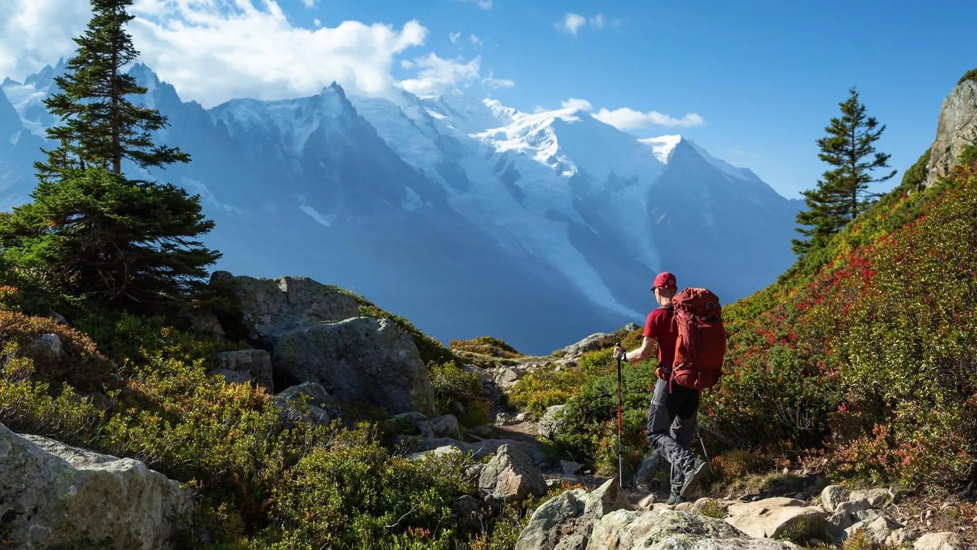 Studio Du Chamois - Happy Rentals Les Houches Apartment